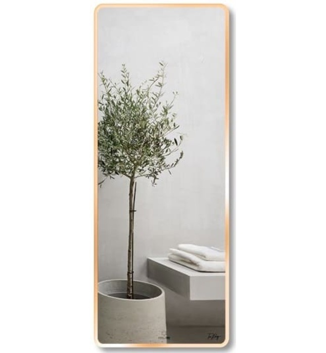 Gương Viền Nhôm Nâu Body Toàn Thân 60x160cm GLS F14R70