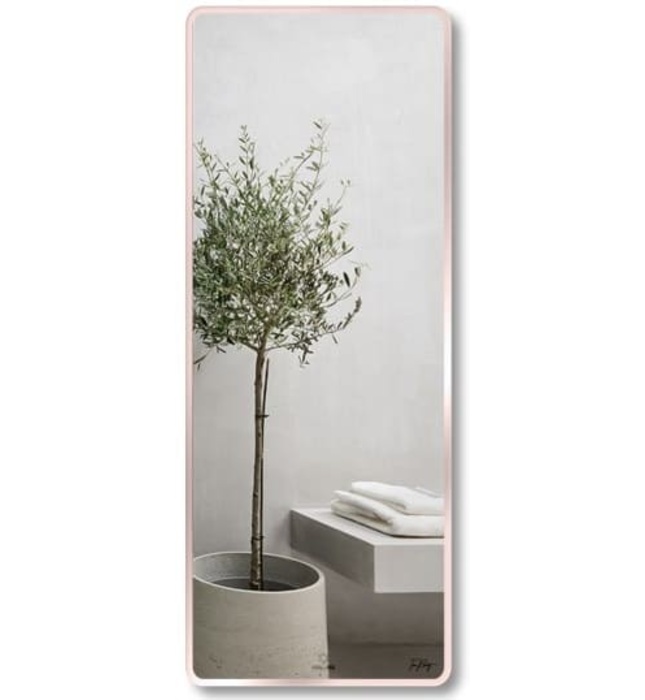 Gương Viền Nhôm Hồng Body Toàn Thân 60x160cm GLS F13R70