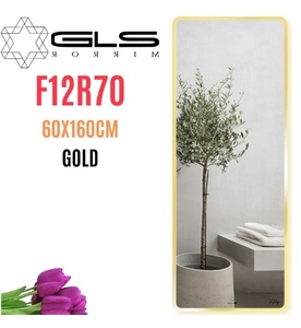 Gương Viền Nhôm Vàng Body Toàn Thân 60x160cm GLS F12R70