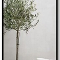 Gương Viền Nhôm Đen Body Toàn Thân 60x160cm GLS F11R70