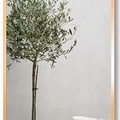 Gương Viền Nhôm Đen Body Toàn Thân 60x160cm GLS F11R70