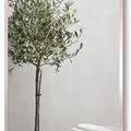 Gương Viền Nhôm Đen Body Toàn Thân 60x160cm GLS F11R70
