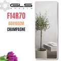 Gương Viền Nhôm Nâu Body Toàn Thân 60x160cm GLS F14R70