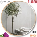 Gương Viền Nhôm Hồng Tròn D60cm GLS F13C80
