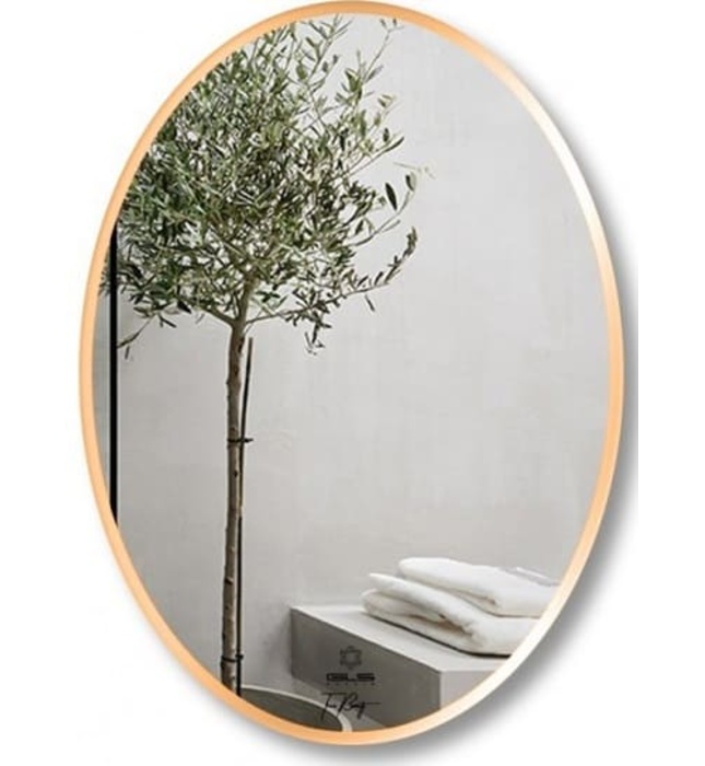 Gương Viền Nhôm Nâu Elip 50x70cm GLS F14E30