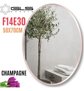Gương Viền Nhôm Nâu Elip 50x70cm GLS F14E30