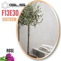 Gương Viền Nhôm Hồng Elip 50x70cm GLS F13E30