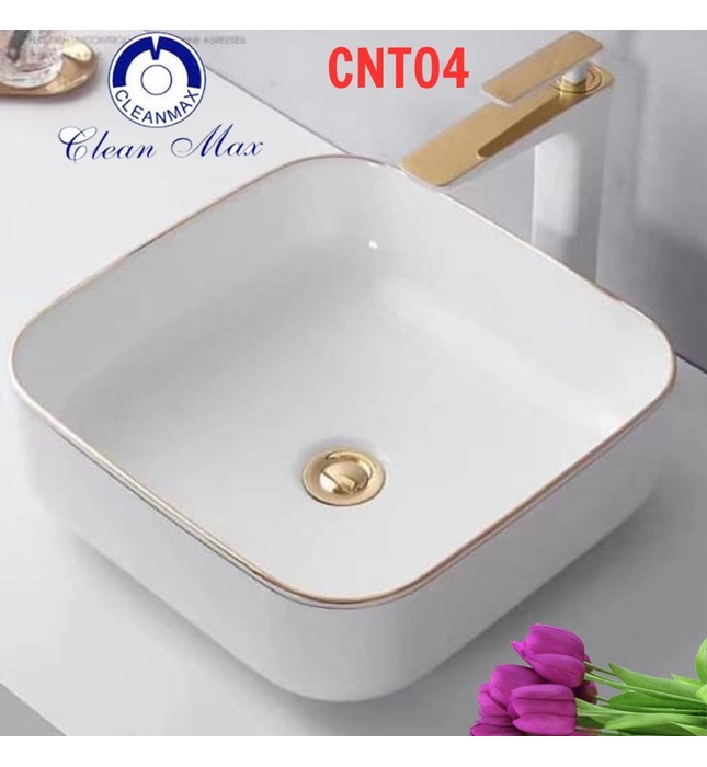 Chậu lavabo nghệ thuật CleanMax CNT04