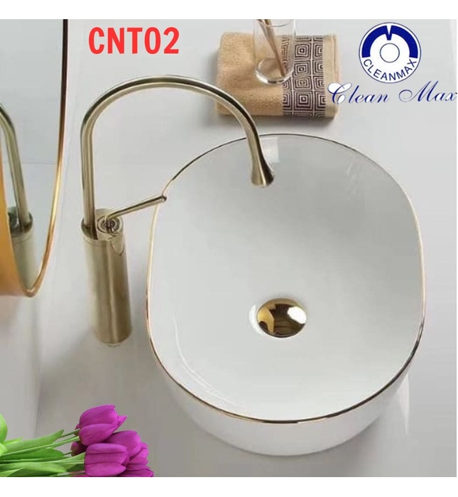Chậu lavabo nghệ thuật CleanMax CNT02