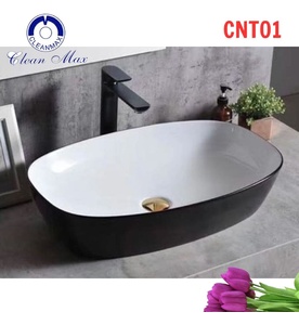 Chậu lavabo nghệ thuật CleanMax CNT01