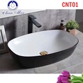 Chậu lavabo nghệ thuật CleanMax CNT01