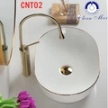 Chậu lavabo nghệ thuật CleanMax CNT02