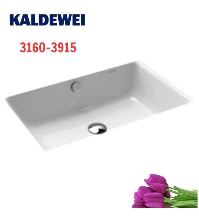 Chậu rửa lavabo âm bàn KALDEWEI PURO 3160-3915