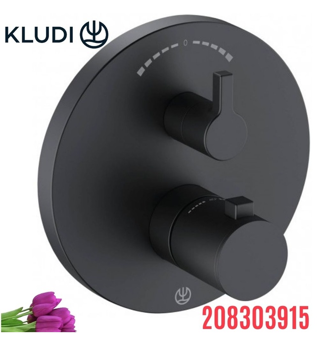 Mặt nạ bộ trộn âm tường màu đen Kludi Nova Fonte 208303915