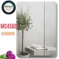 Gương Mifaco MC4560 Trơn Chữ Nhật Đứng 45x60cm