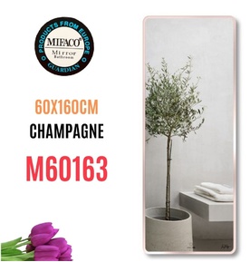 Gương Viền Nhôm Nâu Toàn Thân 60x160cm Mifaco M60163