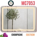 Gương Led Viền Nhôm Nâu 50x70cm Mifaco MC7053 Ánh Sáng Trong