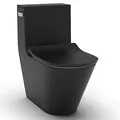 Bồn Cầu Một Khối Nắp Êm Màu Đen Brazin Kohler K-EX22378T-SL-HB1