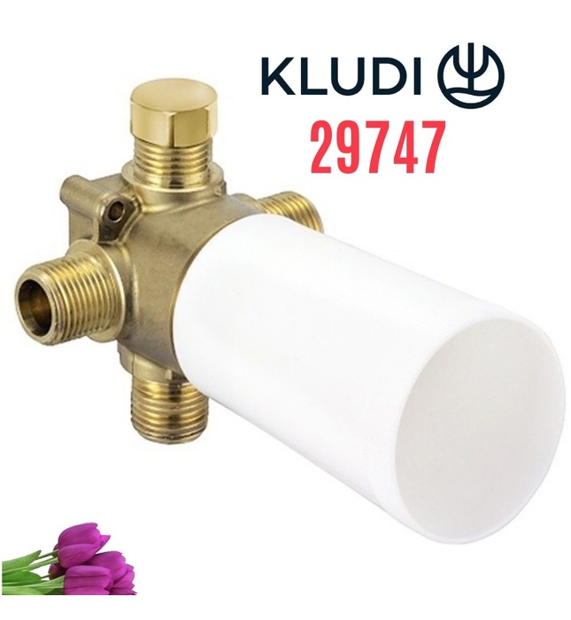 Cục âm van khóa 2 đường nước Kludi 29747