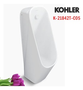 Bồn tiểu nam cảm ứng đặt sàn dùng điện Kohler ModernLife K-21842T-C05