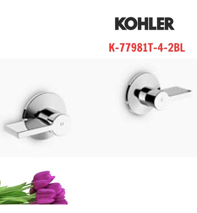Tay chỉnh kép gắn tường Kohler Components K-77981T-4-2BL