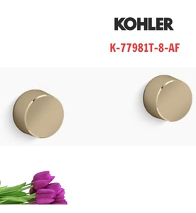 Tay chỉnh kép gắn tường Kohler Components K-77981T-8-AF