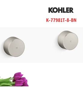 Tay chỉnh kép gắn tường Kohler Components K-77981T-8-BN