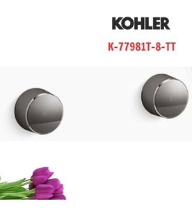 Tay chỉnh kép gắn tường Kohler Components K-77981T-8-TT