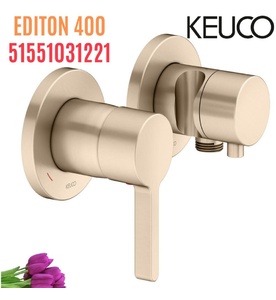 Bộ trộn âm tường vàng Đức Keuco Edition 400 51551031221