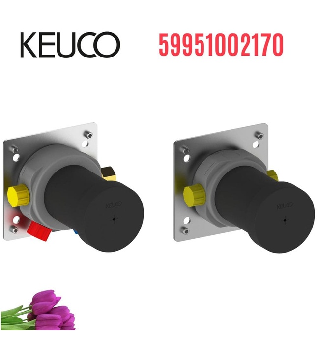 Cục âm sen tắm âm tường Đức Keuco 59951002170