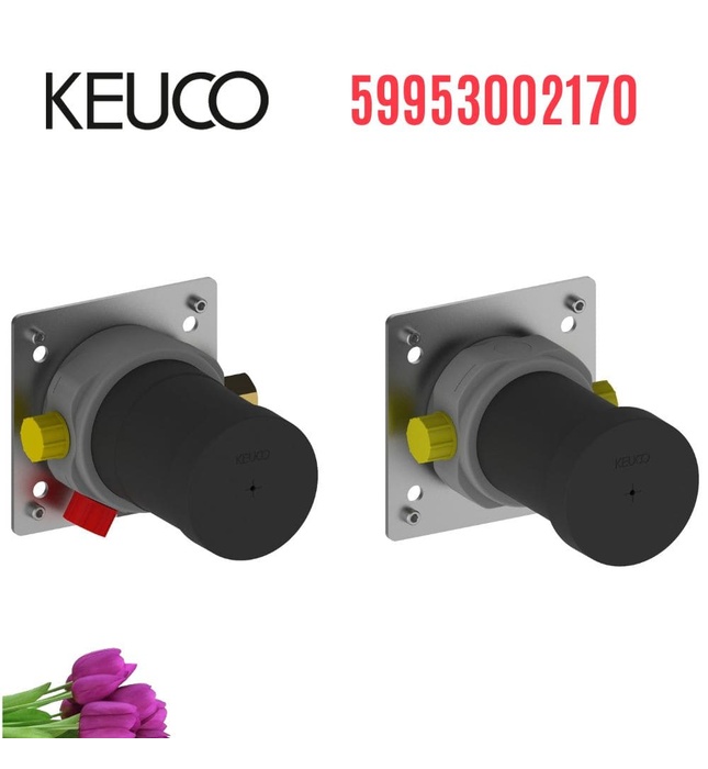 Cục âm sen tắm âm tường Đức Keuco 59953002170