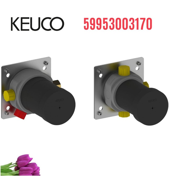 Cục âm sen tắm âm tường Đức Keuco 59953003170