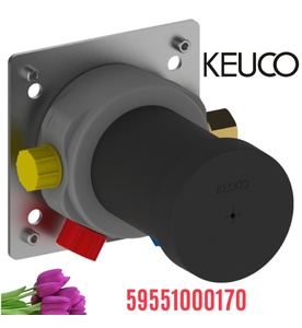 Cục âm vòi sen nhiệt độ Đức Keuco 59551000070