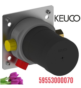 Cục âm vòi sen nhiệt độ Đức Keuco 59553000070