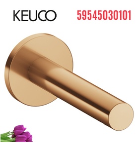 Đầu xả bồn tắm 1 chân âm tường vàng Keuco Standard 59545030101