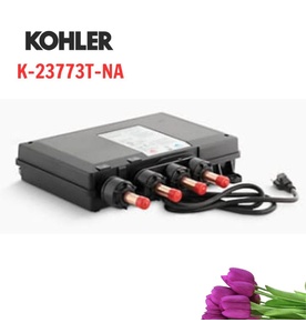 Van điện tử Kohler K-23773T-NA