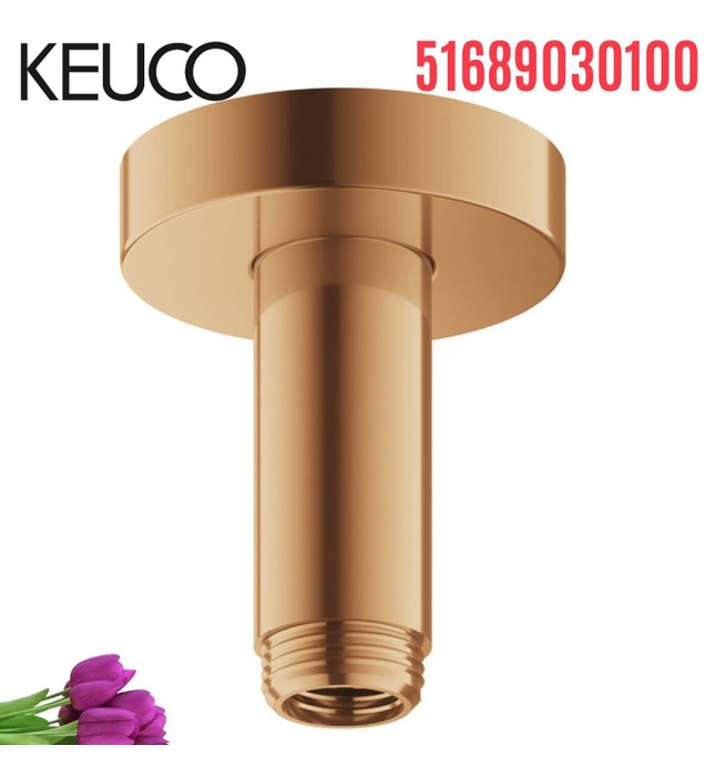 Tay sen phun mưa âm trần vàng Đức Keuco Elegance 51689030100