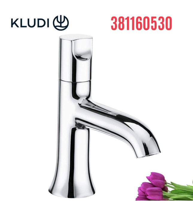 Vòi lavabo nước lạnh 1 chân xoay Kludi Bozz 381160530