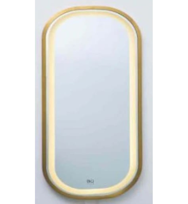 Gương đèn led hình chữ nhật Đình Quốc ĐQ 7771( 500x1500mm)