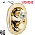 Mặt nạ chuyển hướng nhiệt độ 2 đường nước vàng Adlon Đức Kludi 5172045G4