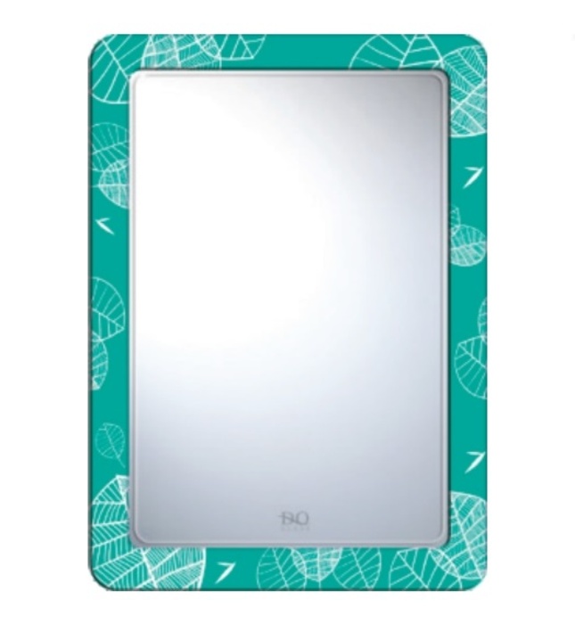 Gương phòng tắm hình chữ nhật Đình Quốc ĐQ 4884(500x700mm) 