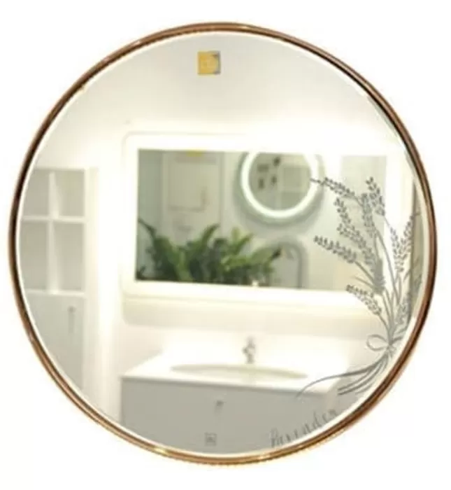 Gương Phòng Tắm Viền Inox Hình Tròn Đình Quốc ĐQ 63002 600x600mm