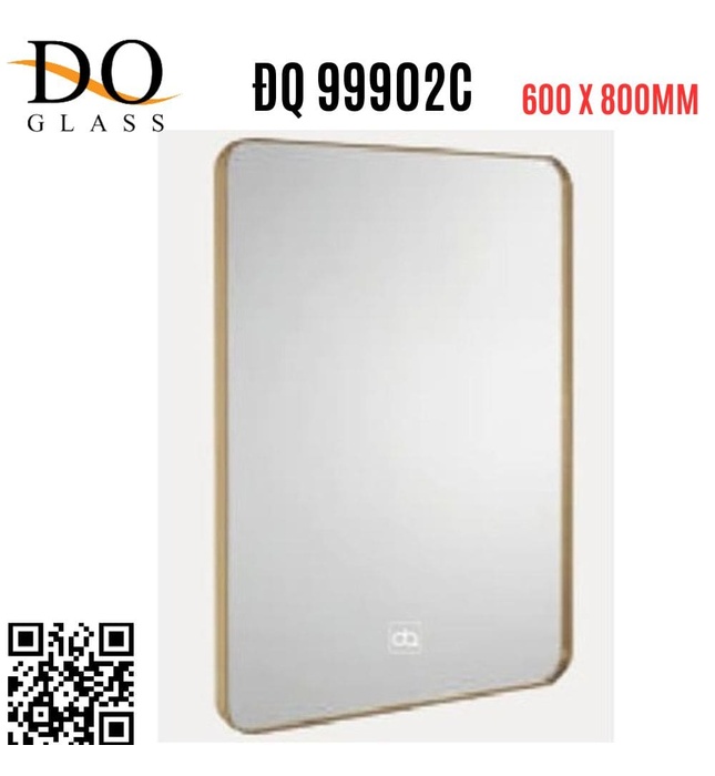 Gương phòng tắm Đình Quốc ĐQ 99902C (600x800mm) 