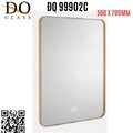 Gương phòng tắm Đình Quốc ĐQ 99902C (500x700mm)