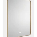 Gương phòng tắm Đình Quốc ĐQ 99902C (600x800mm) 