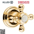 Bộ mặt nạ van khóa âm tường vàng Adlon Đức Kludi 518034520