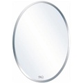 Gương phòng tắm Đình Quốc ĐQ 1139 (500x700mm) 