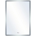 Gương phòng tắm Đình Quốc ĐQ 9123P (300x450mm) 