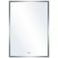 Gương Phòng Tắm Đình Quốc ĐQ 9123P 300x450mm