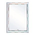Gương phòng tắm Đình Quốc ĐQ 3176 (600x800mm) 